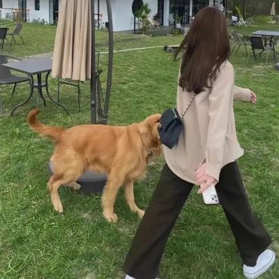 我太受欢迎了该怎么办